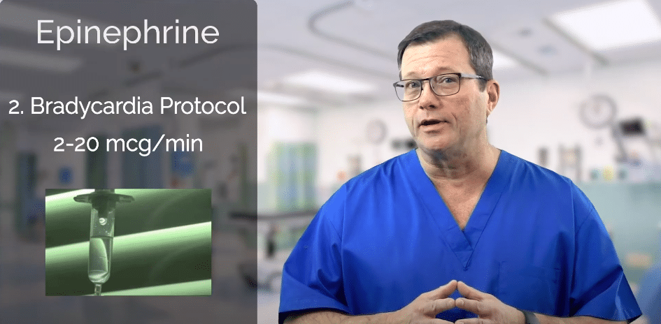 Epinephrine infusion bradycardia.