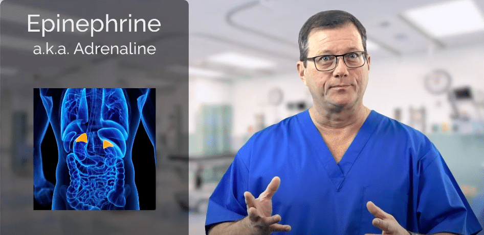 Epinephrine produced in adrenal glands.