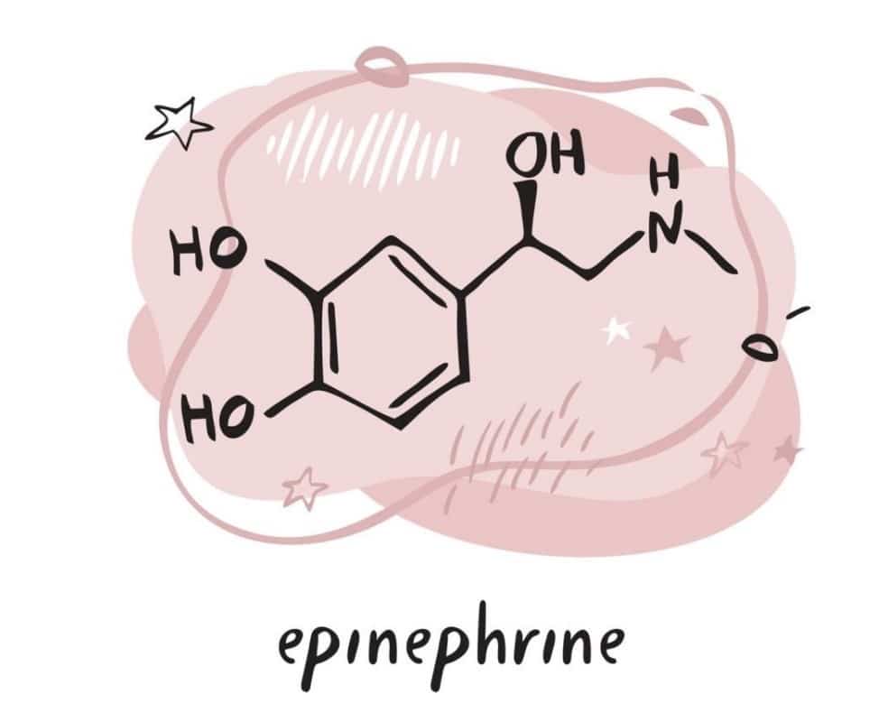 “Epinephrine increases heart rate to treat bradycardia.”