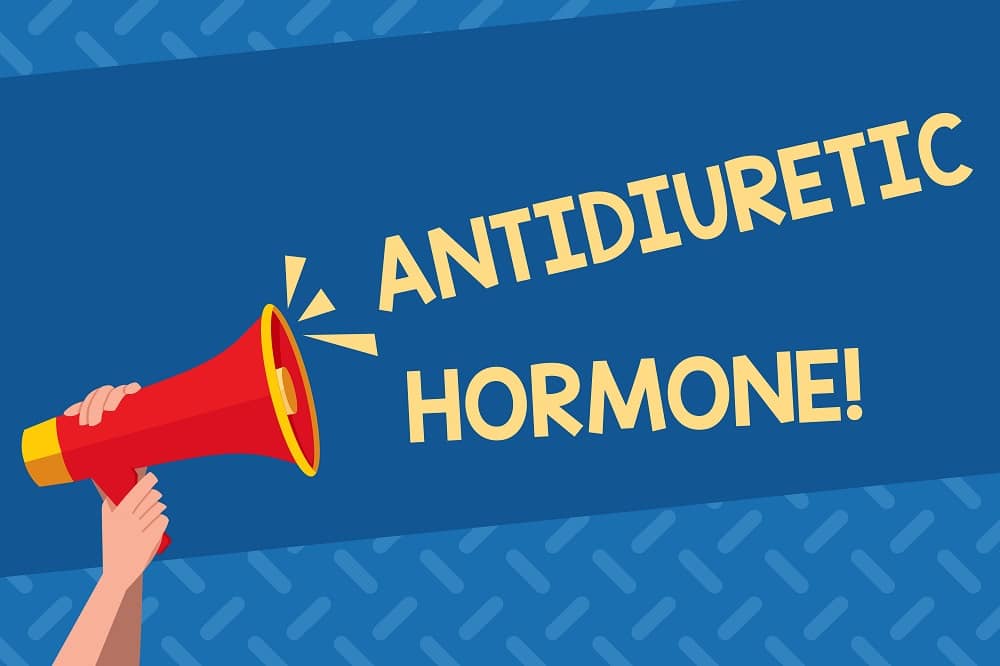 Antidiuretic hormone - bullhorn.