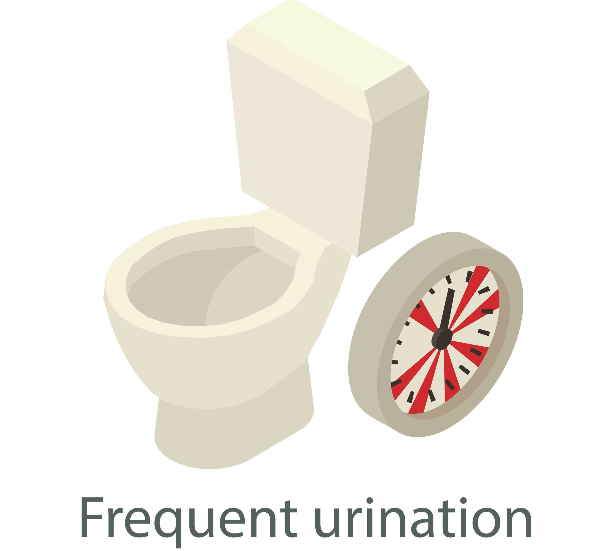 Frequent urination is a common symptom of diabetes insipidus. - toilet and clock