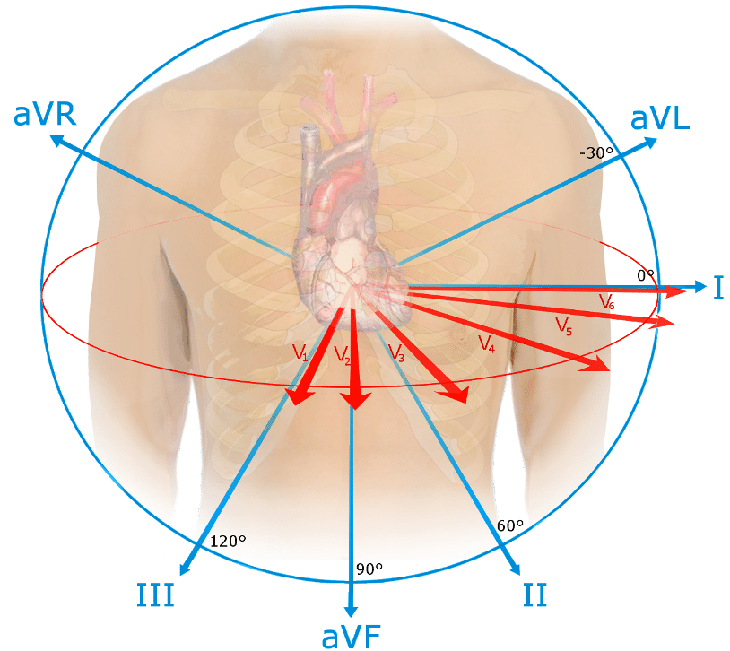 Frontal axis with limb and precordial leads.
