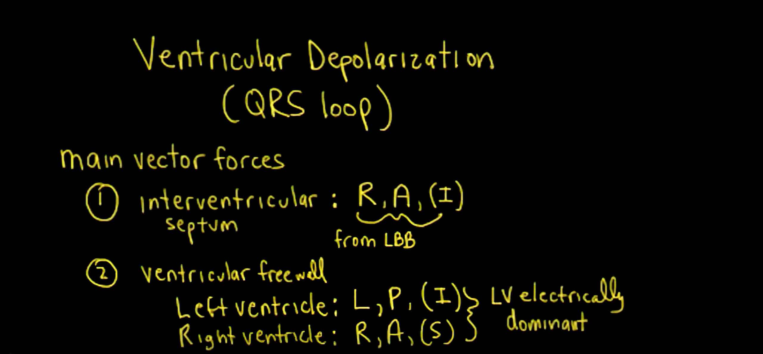 Schneid guide to QRS vectorcardiogram loop.