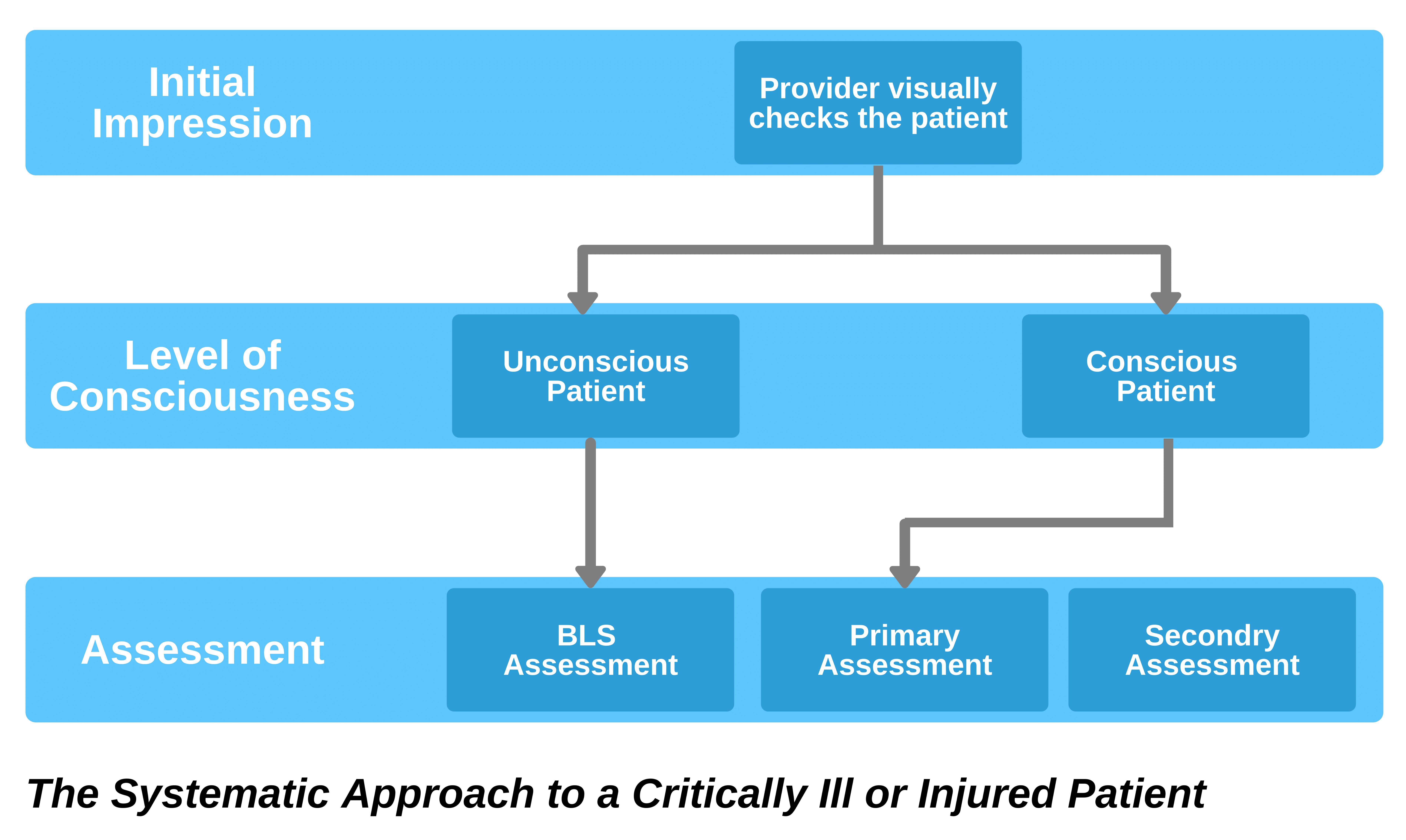 Systematic approach to critically ill or injured patient.