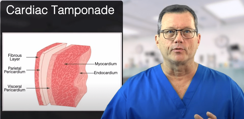 Diagram of the pericardium layers.