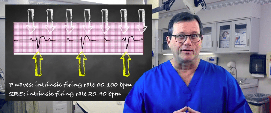 P waves and QRS occur at respective intrinsic firing rates.