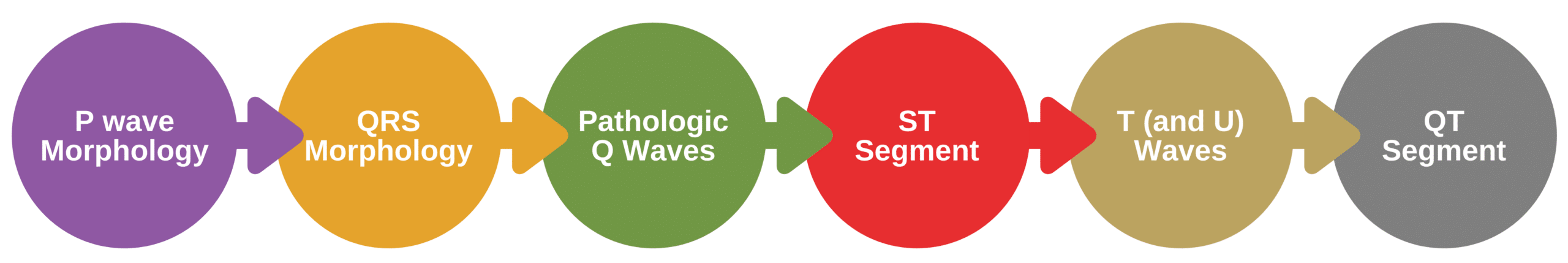 ECG morphology rhythm analysis steps.