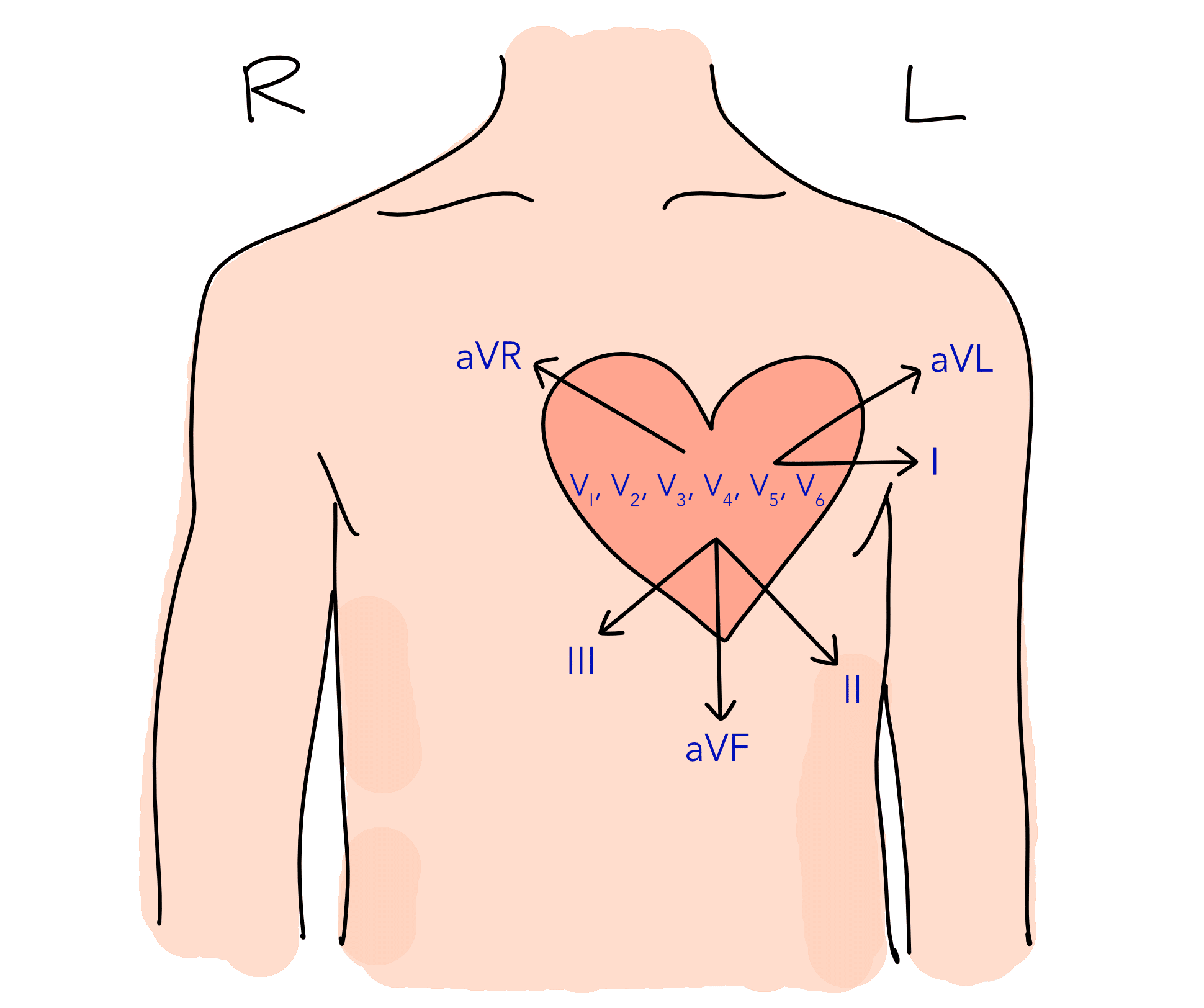12-lead electrocardiogram - lead placement diagram.