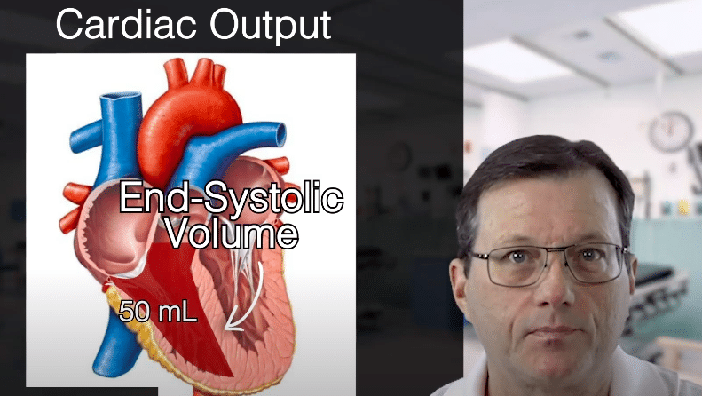 Heart diagram — end-systolic volume.
