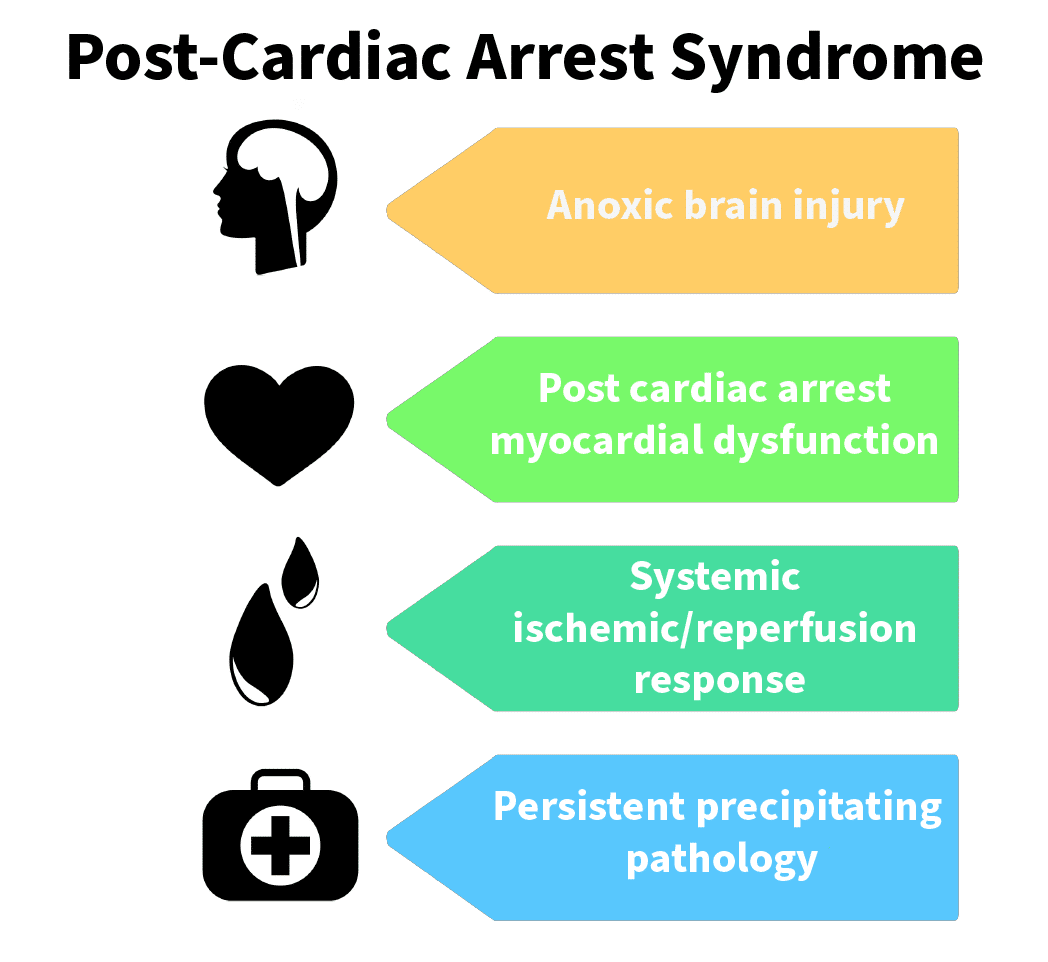 Post-cardiac arrest syndrome.