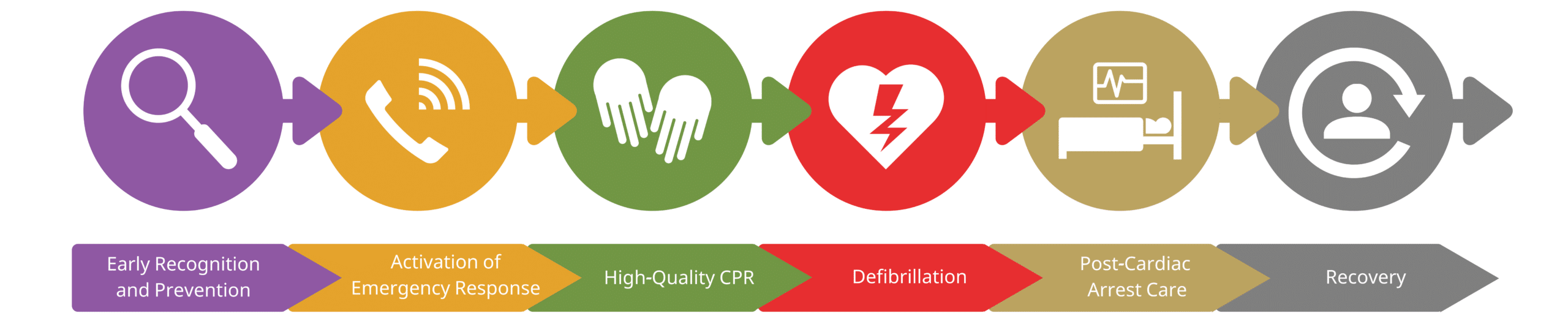 Adult OHCA chain of survival.
