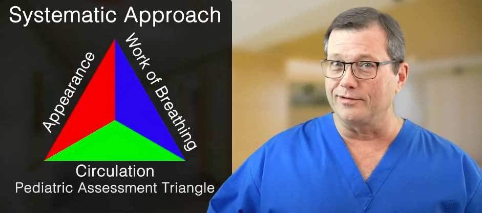 Introduction to the PALS Systematic Approach
