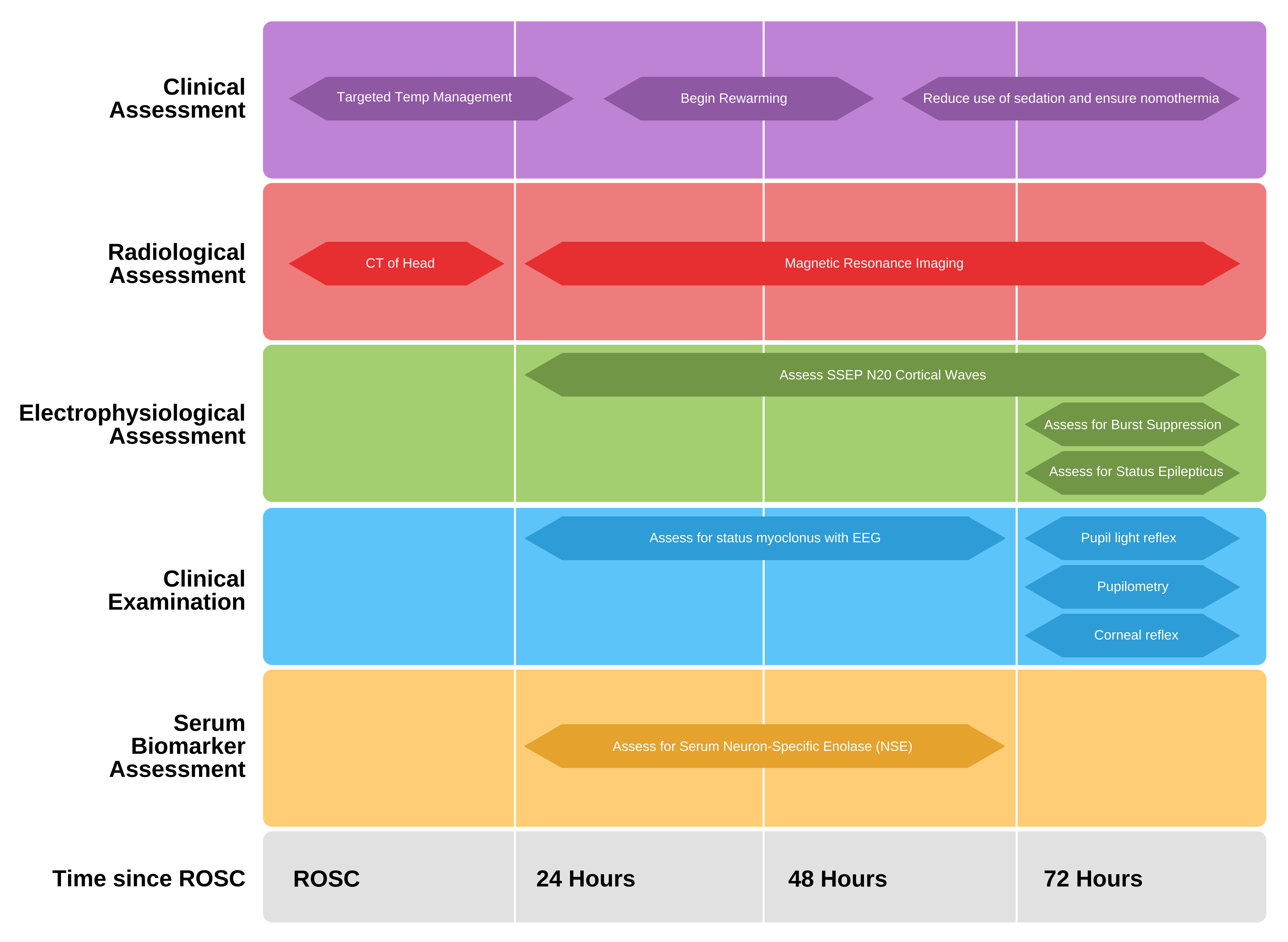 Postcardiac Arrest Standard Care Infographic Postcardiac arrest standards of care.