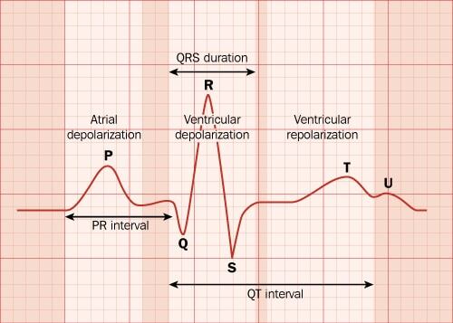 The electrical activity of the heart is denoted by the letters P, Q, R, S, T, and U.