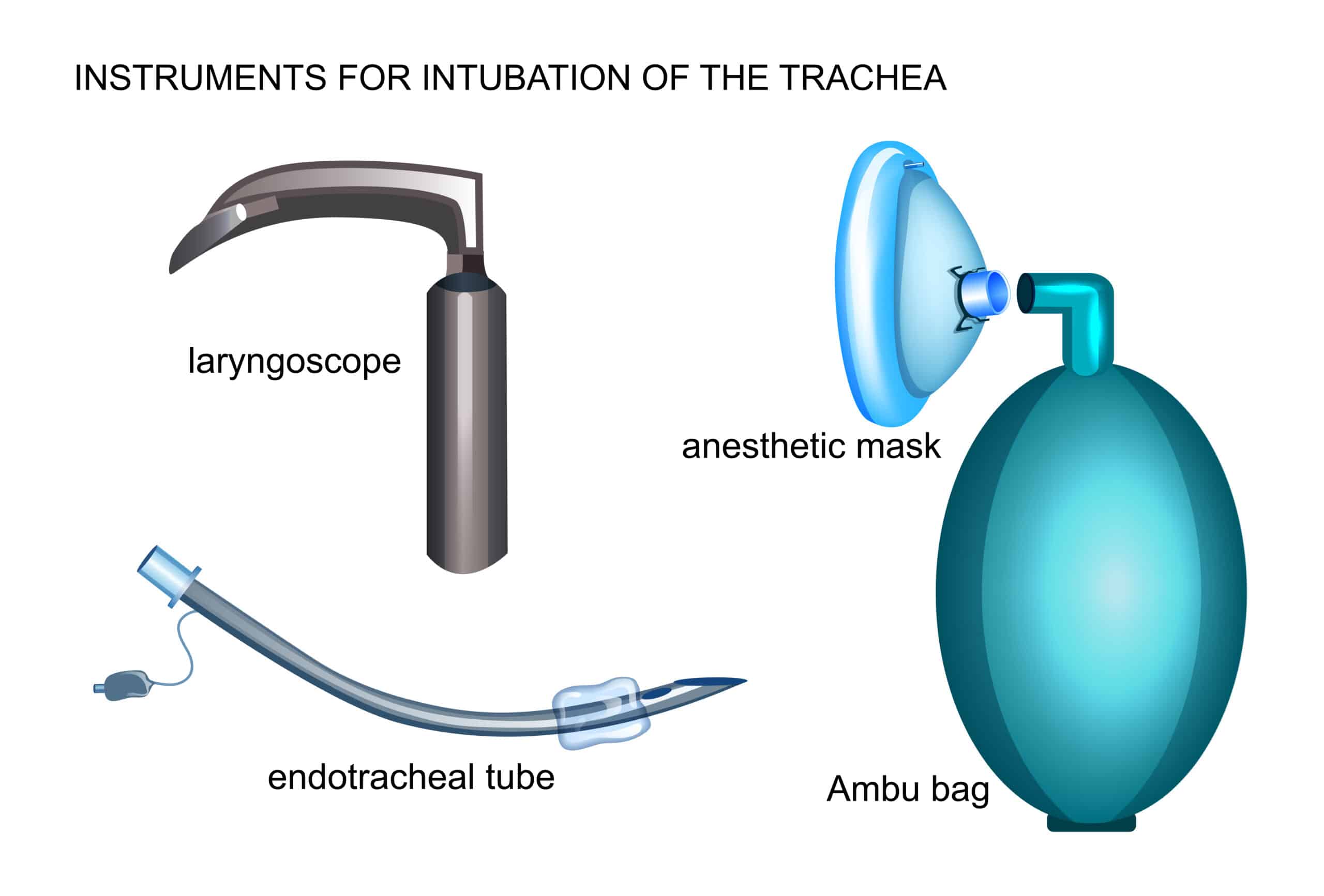 Equipment needed for intubation - The laryngoscope, endotracheal tube, and resuscitation bag.