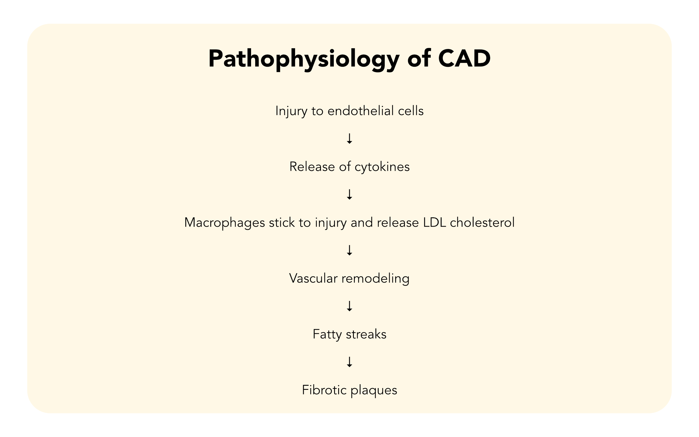 Pathophysiology of CAD flow diagram.