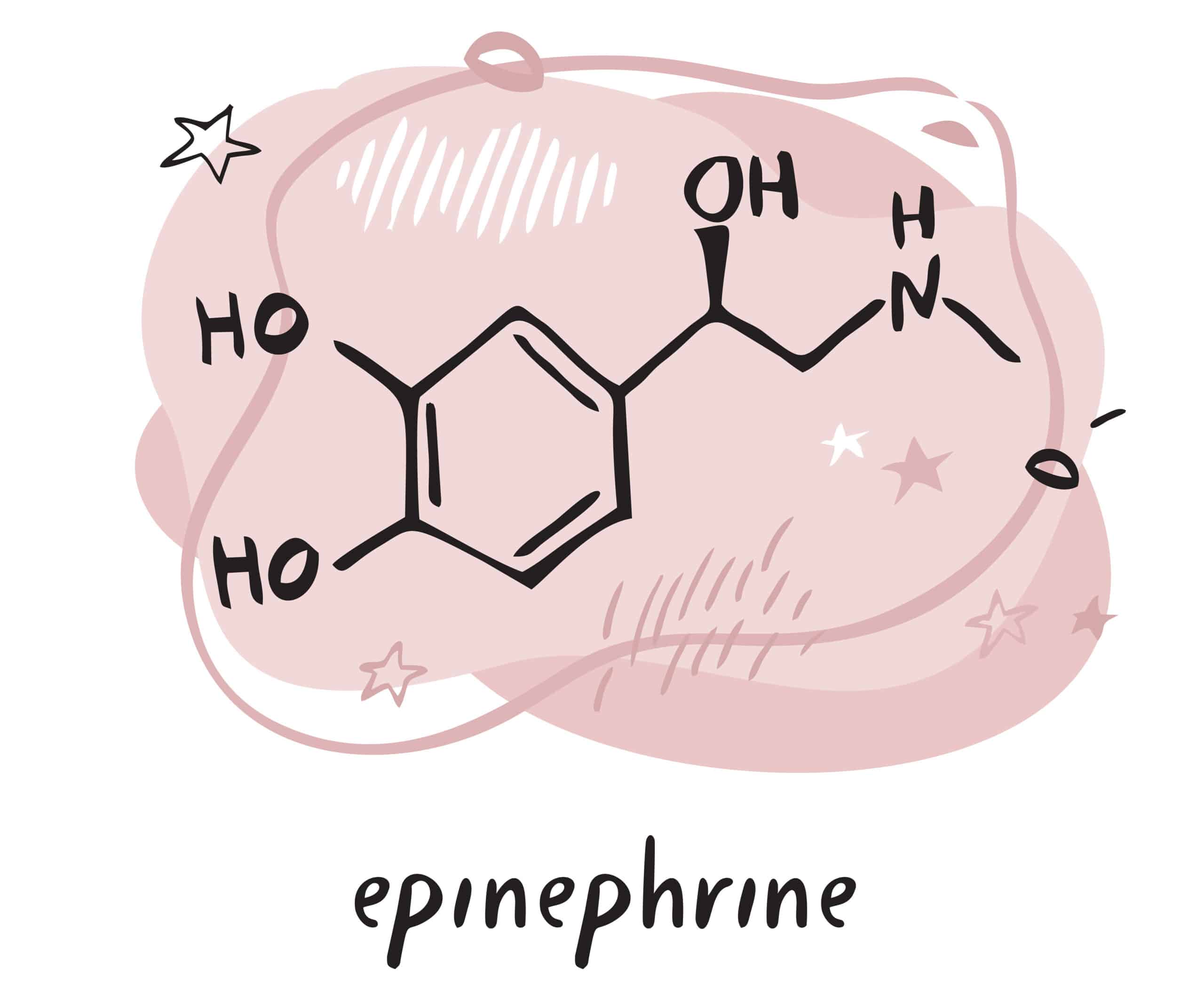 Epinephrine increases heart rate to treat bradycardia.