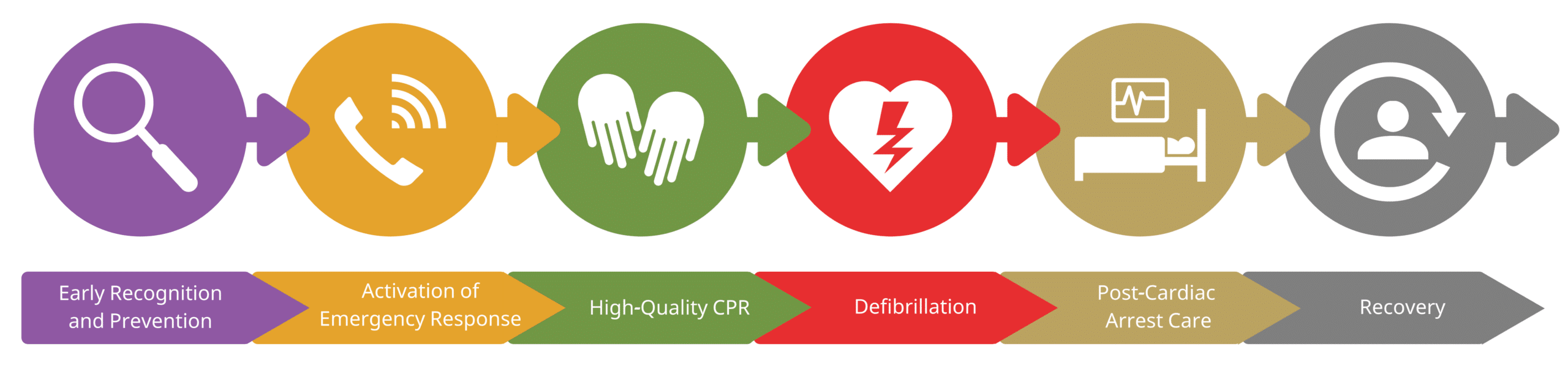In-hospital cardiac arrest adult chain of survival.