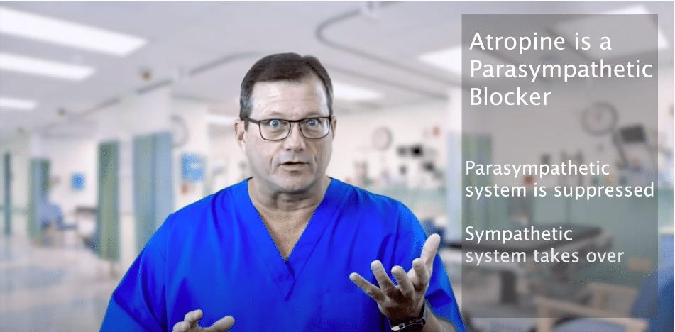 Atropine affects parasympathetic system through SA and AV node.