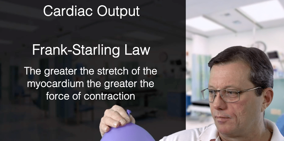 Balloon used to show the Frank-Starling Law.