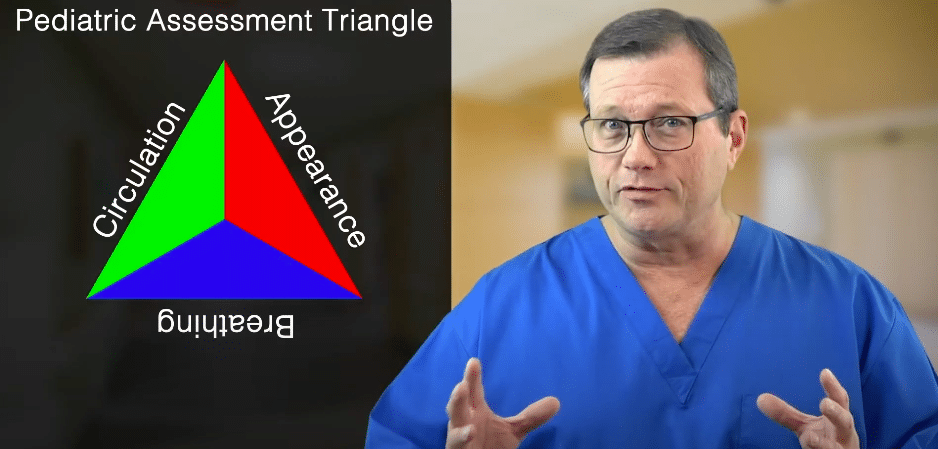 Components of the pediatric assessment triangle.