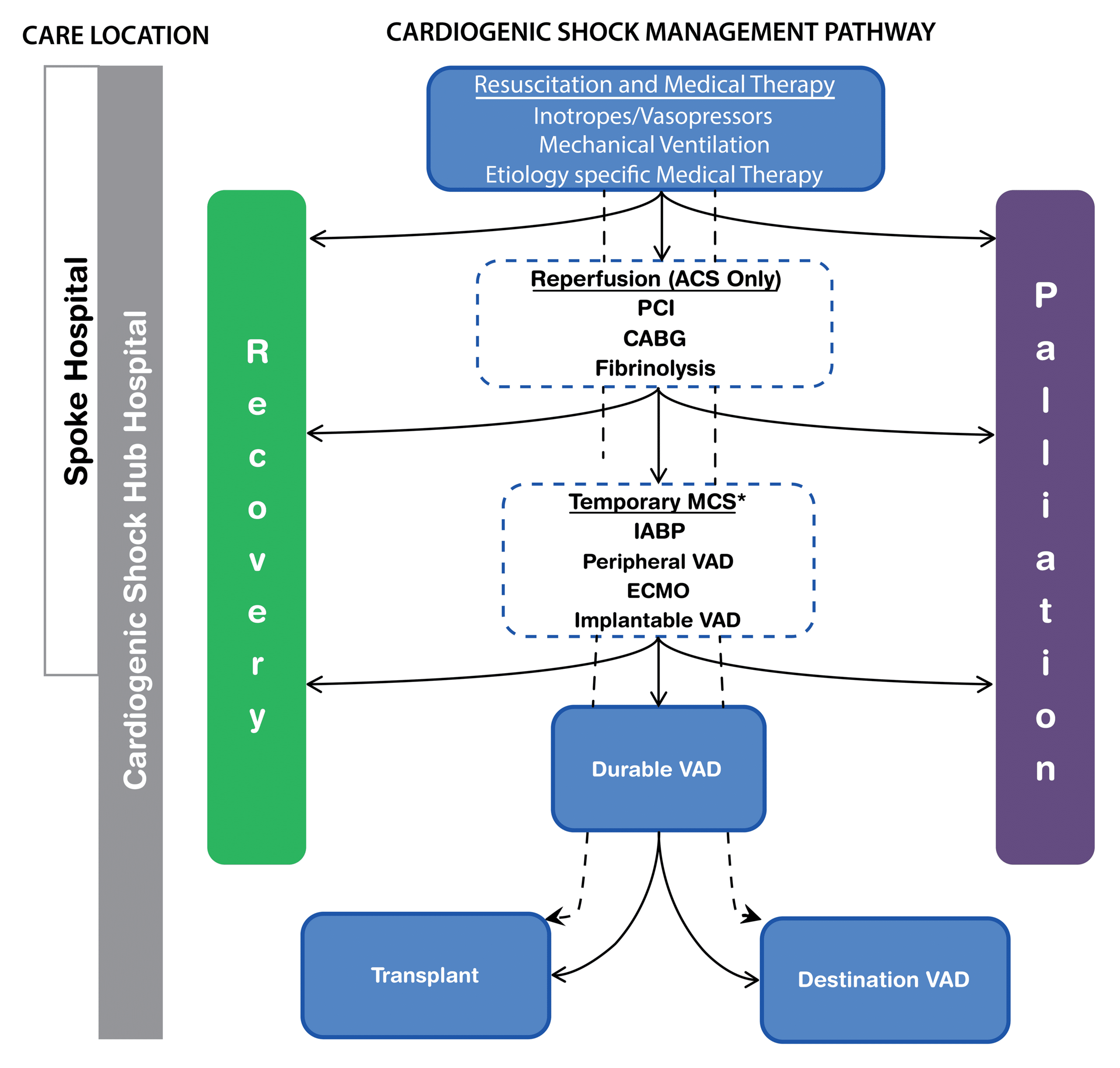Cardiogenic shock management.