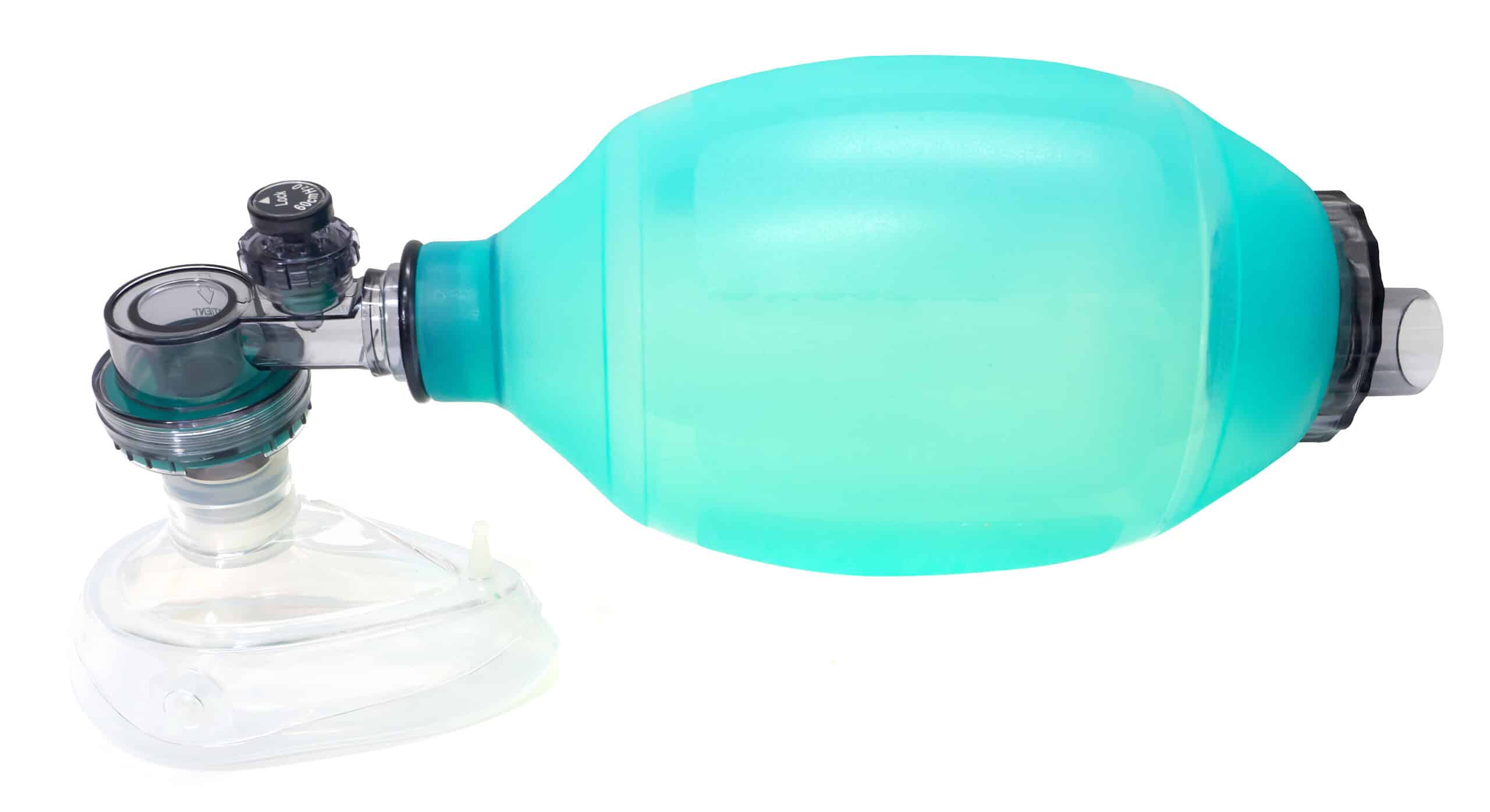 Bag mask provides manual ventilation.
