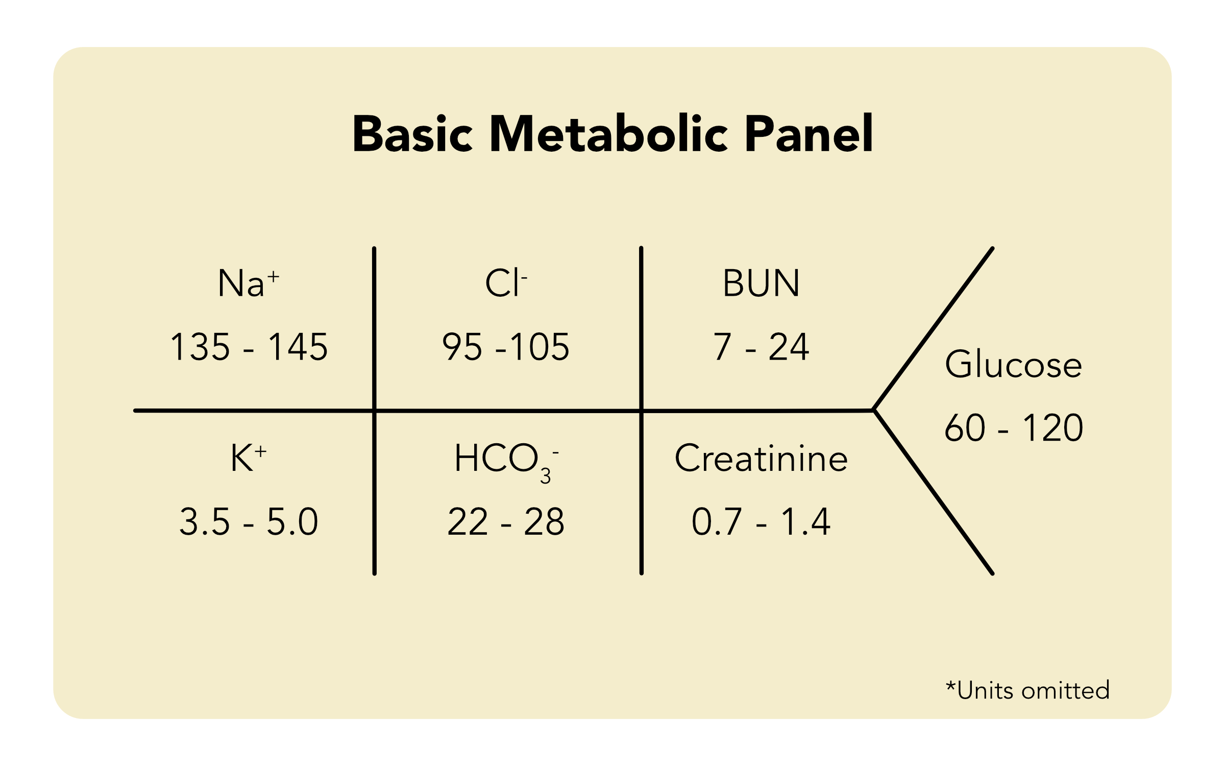 Electrolytes Explained