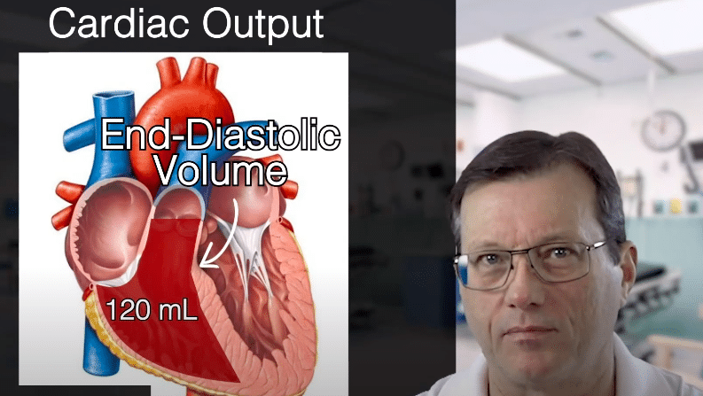 Monitoring Blood Glucose After Stroke Diagram of the heart showing end-diastolic volume.