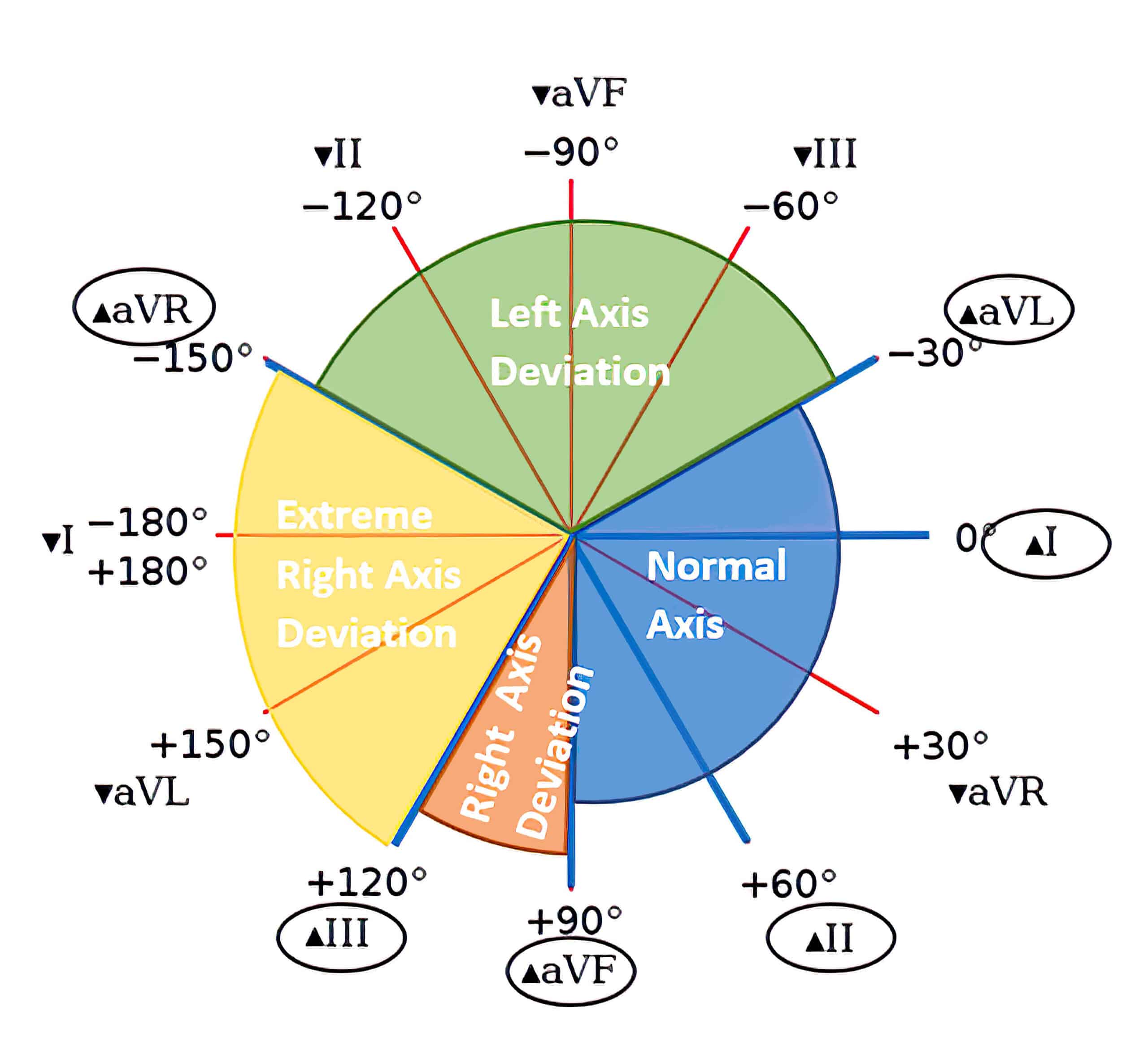 Cabrera circle with normal axis and axes deviations.