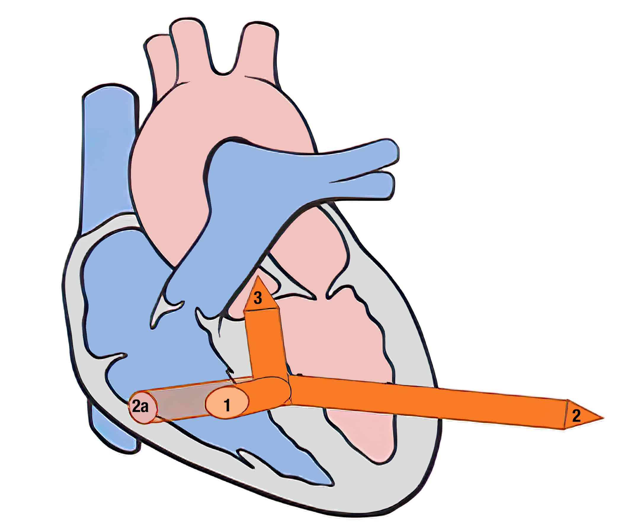 Vector 1 of heart.