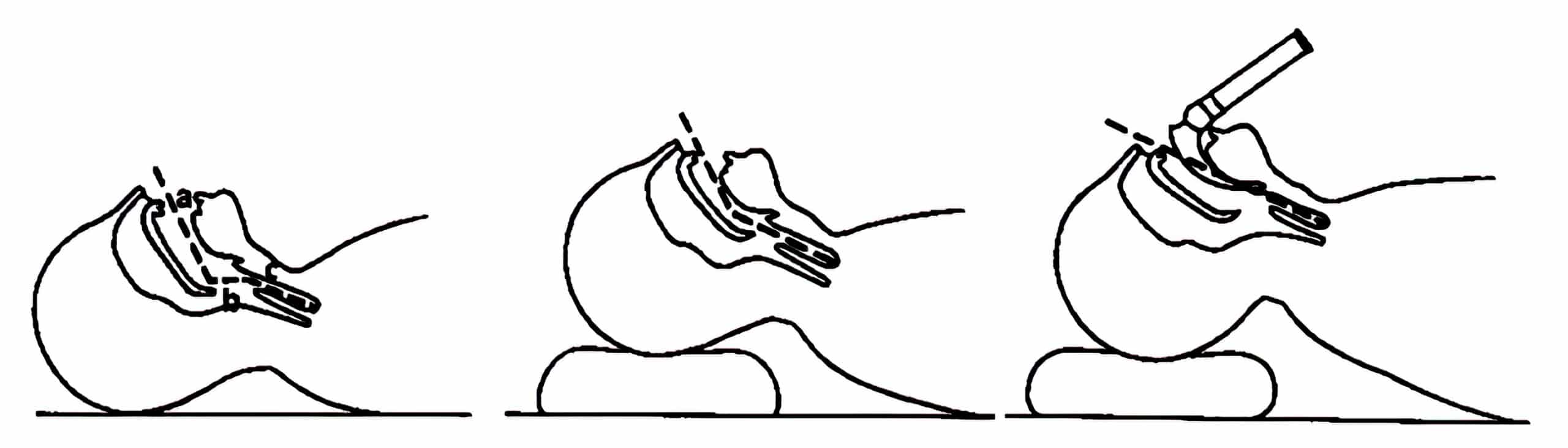 Drawing of how to place an infant into the sniffing position.