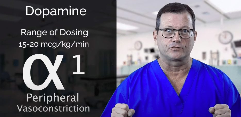 Dopamine dose stimulates alpha receptors.